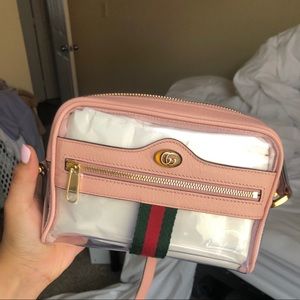 The Ophidia Transparent Gucci Crossbody